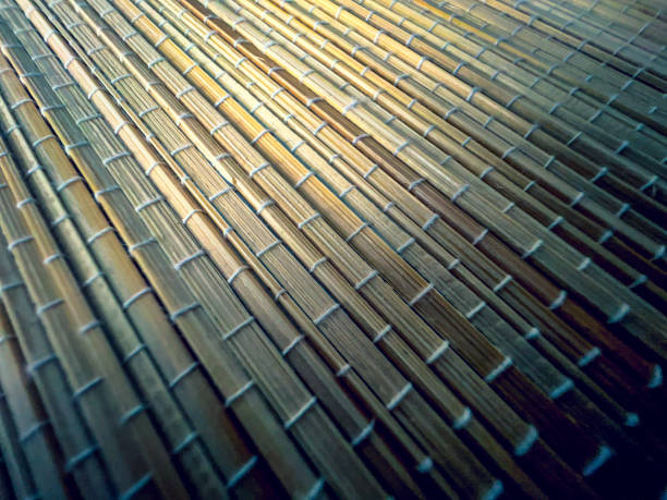 A Brief History of Bamboo Fabric