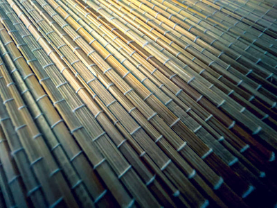 A Brief History of Bamboo Fabric