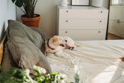 Benefits of Switching to Organic Bedding